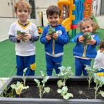 horta (2)